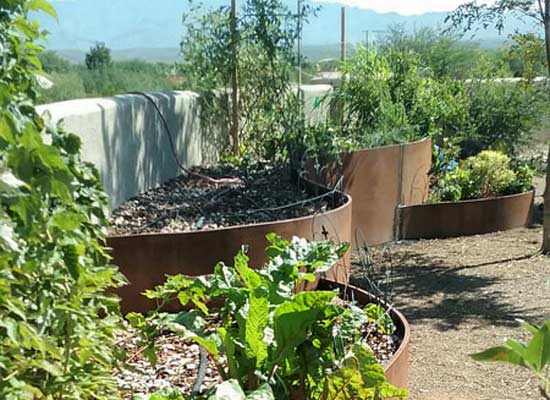 Patio and Garden